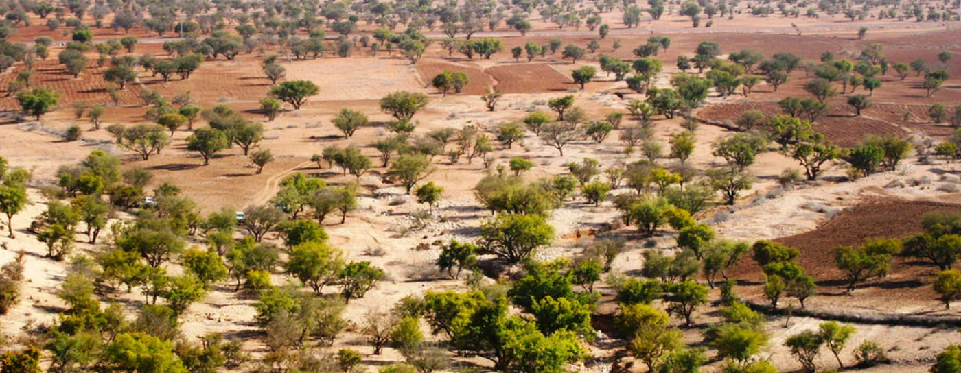 Arganisme Moroccan Argan Oil Factory